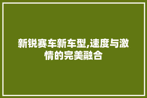 新锐赛车新车型,速度与激情的完美融合