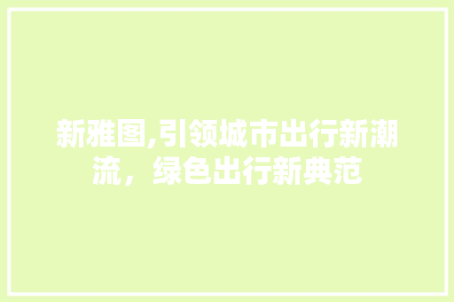 新雅图,引领城市出行新潮流，绿色出行新典范