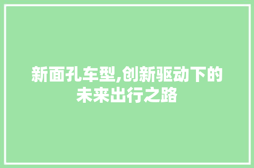 新面孔车型,创新驱动下的未来出行之路