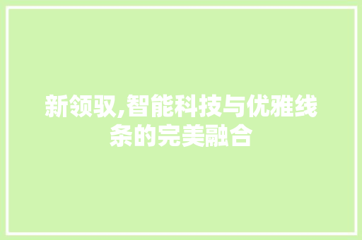 新领驭,智能科技与优雅线条的完美融合