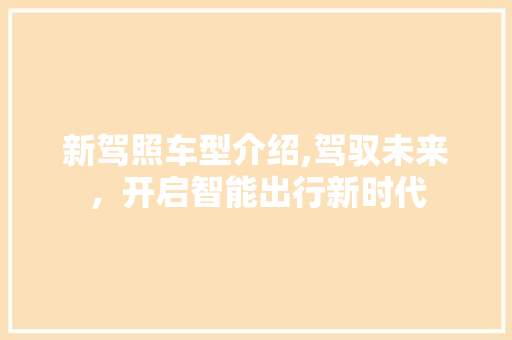 新驾照车型介绍,驾驭未来，开启智能出行新时代