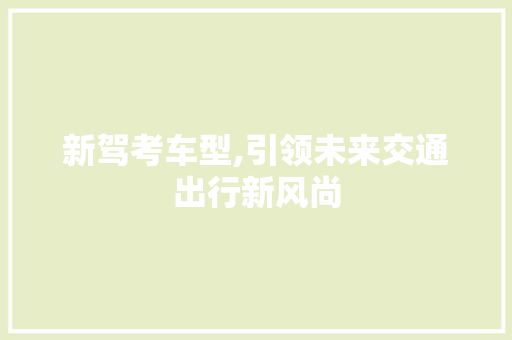 新驾考车型,引领未来交通出行新风尚