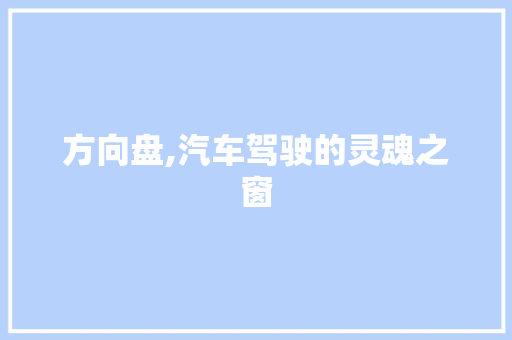 方向盘,汽车驾驶的灵魂之窗