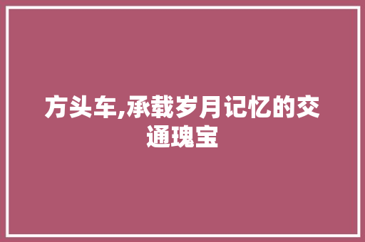 方头车,承载岁月记忆的交通瑰宝