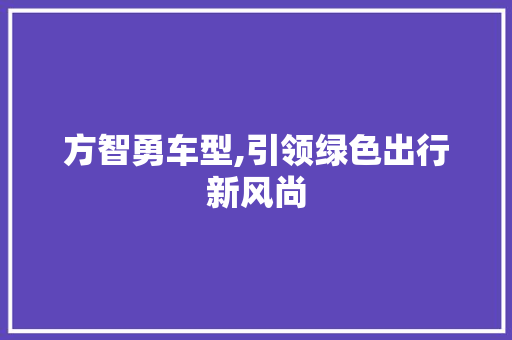 方智勇车型,引领绿色出行新风尚