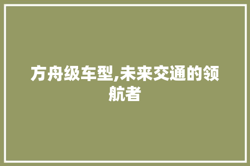 方舟级车型,未来交通的领航者