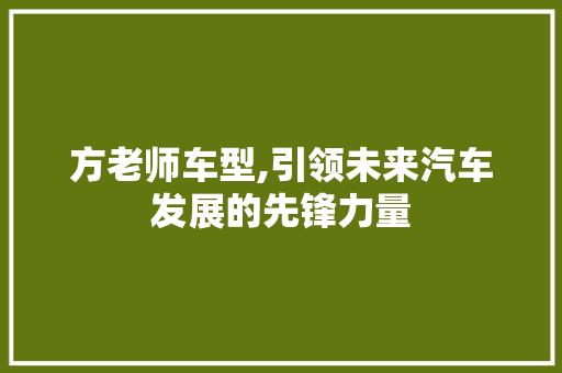 方老师车型,引领未来汽车发展的先锋力量