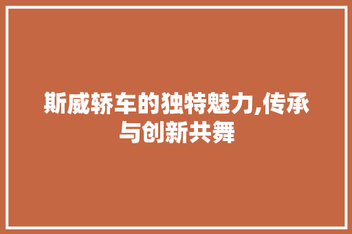 斯威轿车的独特魅力,传承与创新共舞