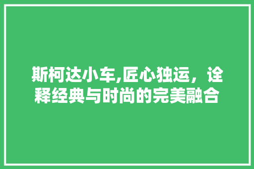 斯柯达小车,匠心独运，诠释经典与时尚的完美融合