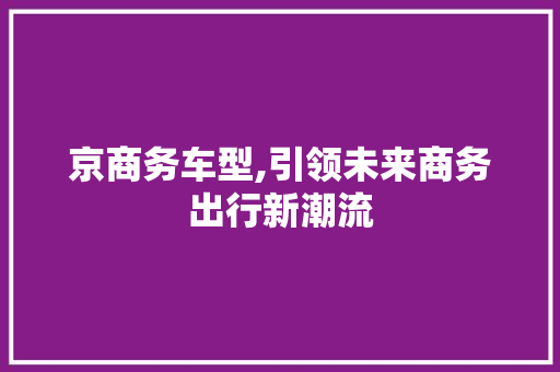 京商务车型,引领未来商务出行新潮流