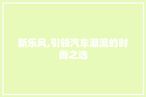 新乐风,引领汽车潮流的时尚之选