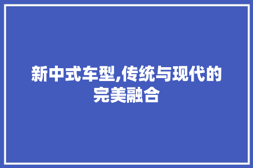 新中式车型,传统与现代的完美融合