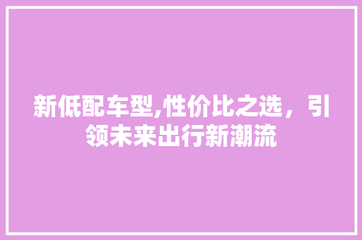 新低配车型,性价比之选，引领未来出行新潮流