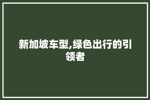 新加坡车型,绿色出行的引领者