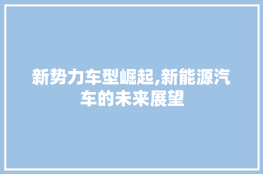 新势力车型崛起,新能源汽车的未来展望