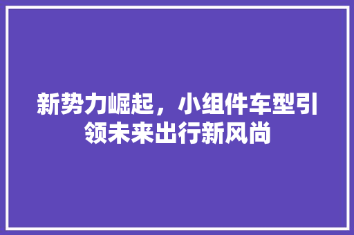 新势力崛起，小组件车型引领未来出行新风尚