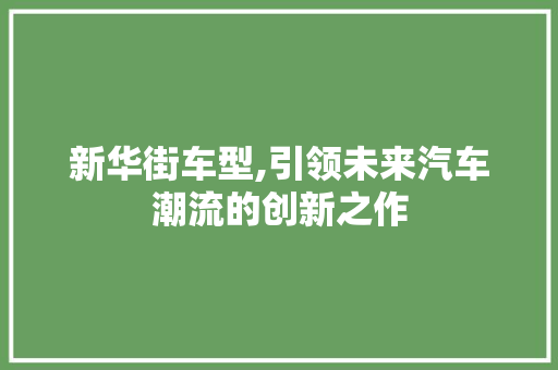 新华街车型,引领未来汽车潮流的创新之作