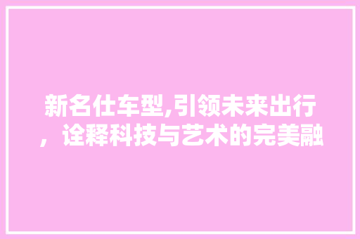新名仕车型,引领未来出行，诠释科技与艺术的完美融合