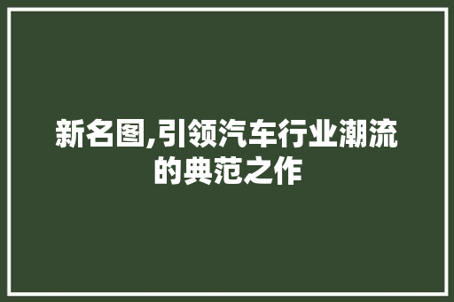 新名图,引领汽车行业潮流的典范之作