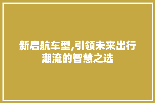 新启航车型,引领未来出行潮流的智慧之选