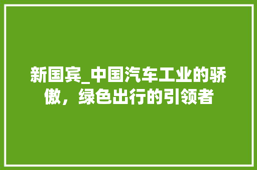 新国宾_中国汽车工业的骄傲，绿色出行的引领者