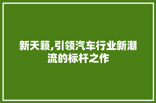新天籁,引领汽车行业新潮流的标杆之作
