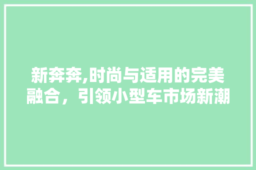 新奔奔,时尚与适用的完美融合，引领小型车市场新潮流