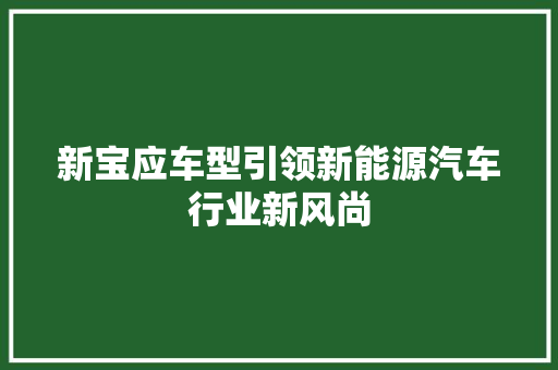 新宝应车型引领新能源汽车行业新风尚