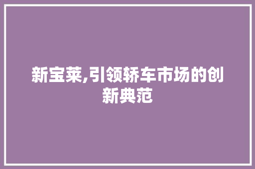 新宝莱,引领轿车市场的创新典范