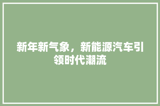 新年新气象，新能源汽车引领时代潮流