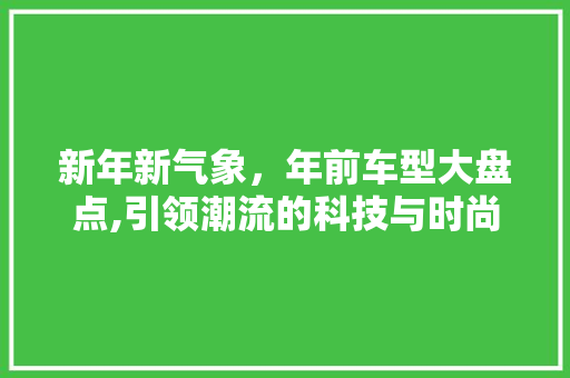 新年新气象，年前车型大盘点,引领潮流的科技与时尚结合
