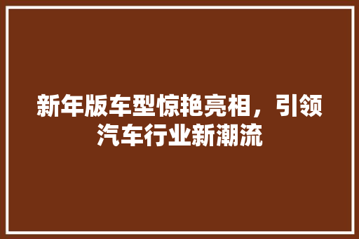 新年版车型惊艳亮相，引领汽车行业新潮流