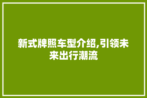 新式牌照车型介绍,引领未来出行潮流