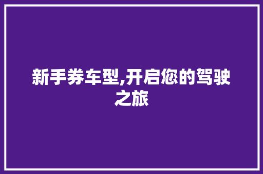 新手券车型,开启您的驾驶之旅
