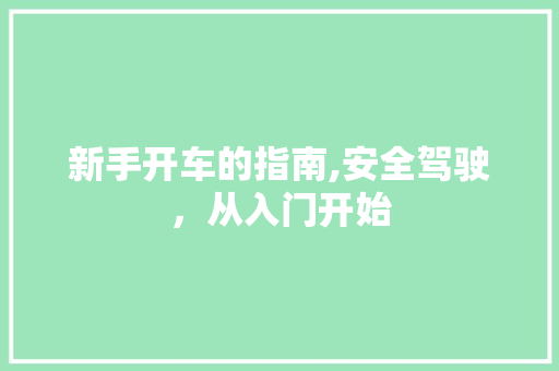 新手开车的指南,安全驾驶，从入门开始