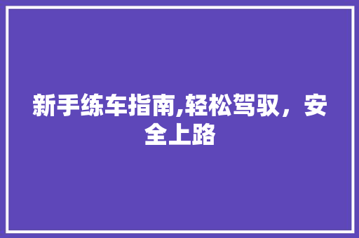 新手练车指南,轻松驾驭，安全上路