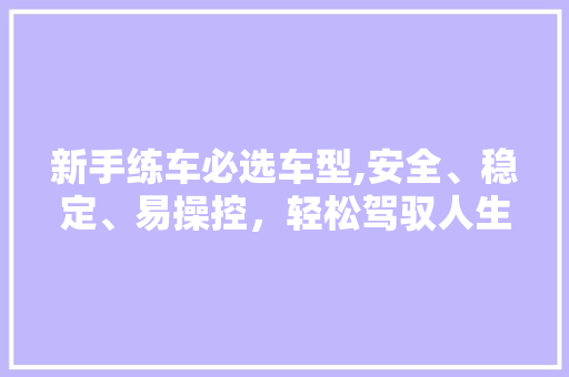 新手练车必选车型,安全、稳定、易操控，轻松驾驭人生起跑线