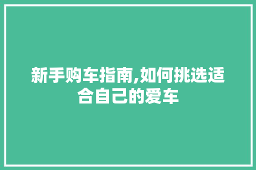 新手购车指南,如何挑选适合自己的爱车