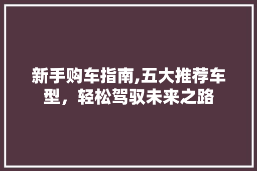 新手购车指南,五大推荐车型，轻松驾驭未来之路