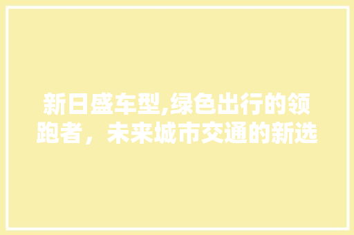 新日盛车型,绿色出行的领跑者，未来城市交通的新选择