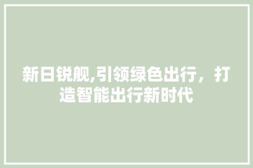 新日锐舰,引领绿色出行，打造智能出行新时代