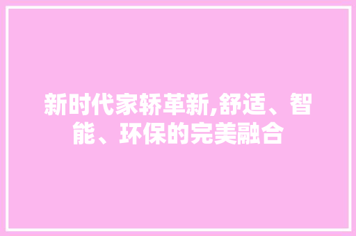 新时代家轿革新,舒适、智能、环保的完美融合