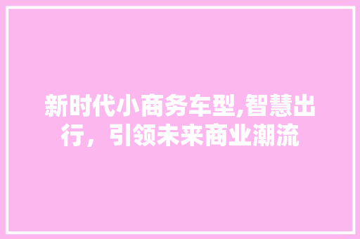 新时代小商务车型,智慧出行，引领未来商业潮流