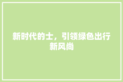 新时代的士，引领绿色出行新风尚