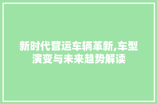 新时代营运车辆革新,车型演变与未来趋势解读