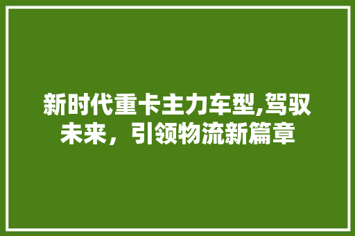 新时代重卡主力车型,驾驭未来，引领物流新篇章