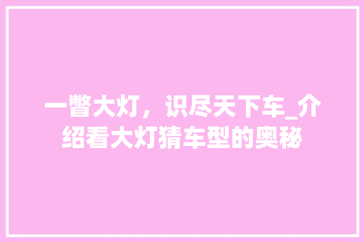 一瞥大灯，识尽天下车_介绍看大灯猜车型的奥秘