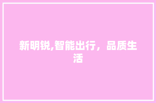 新明锐,智能出行，品质生活