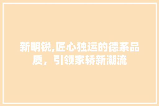 新明锐,匠心独运的德系品质，引领家轿新潮流
