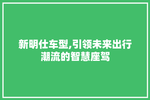 新明仕车型,引领未来出行潮流的智慧座驾